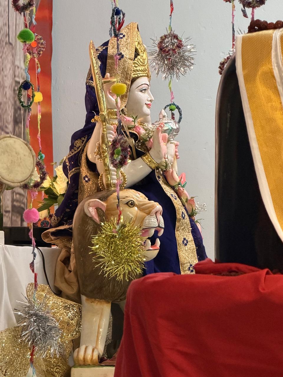 Navaratri 2026 photo 27